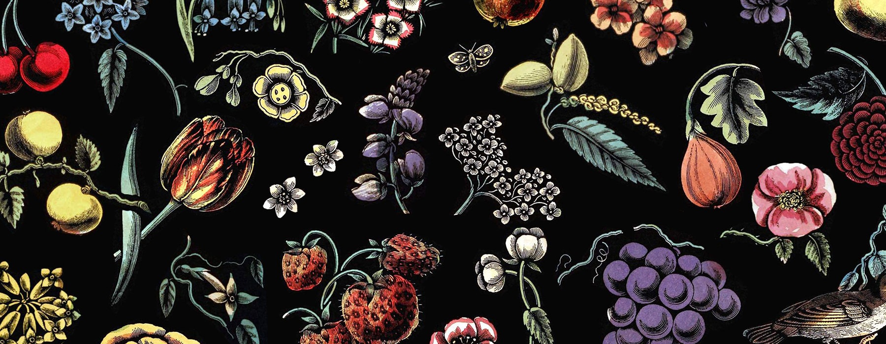branded graphic of property patterns and floral shapes